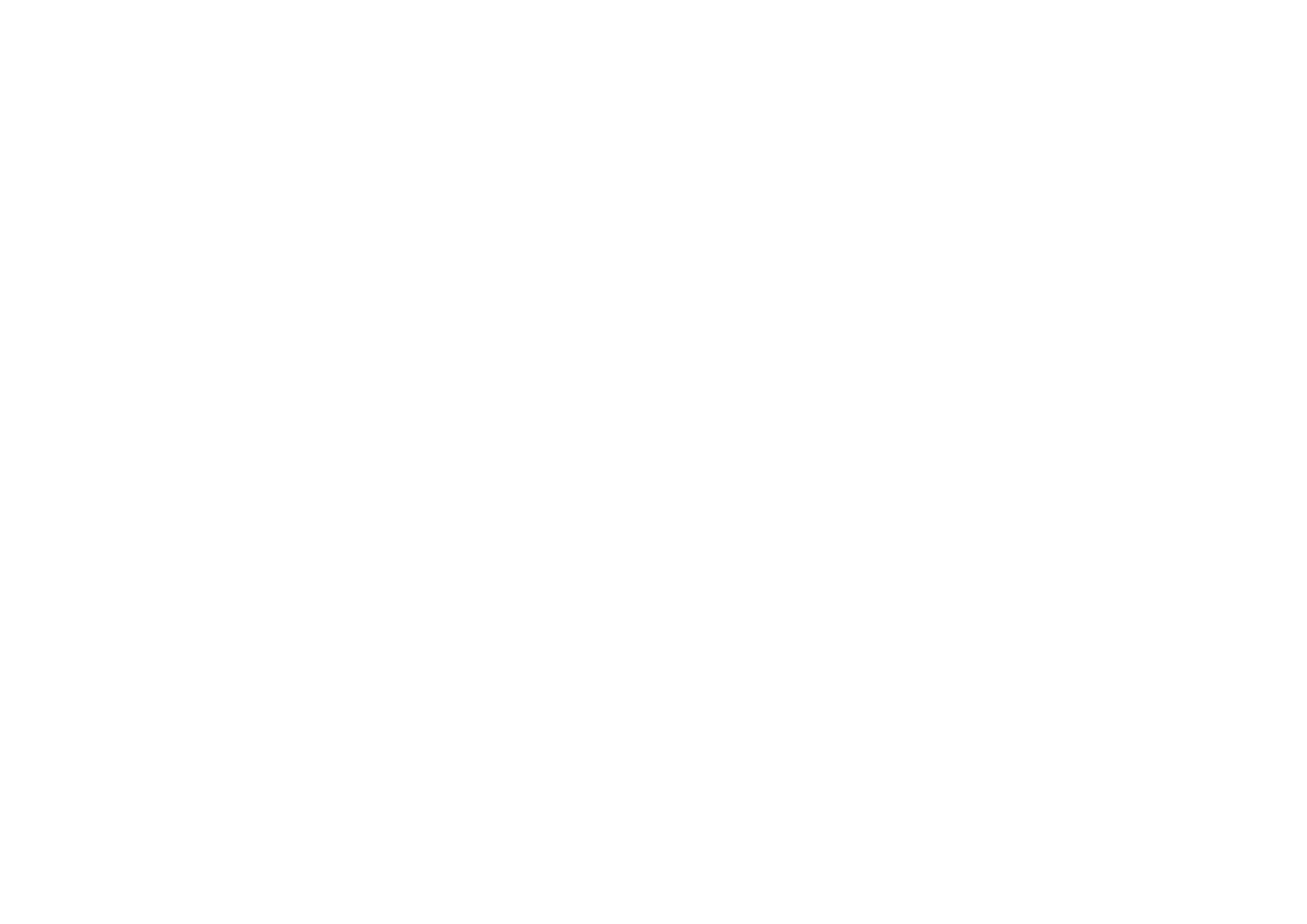 BLASI GROUP